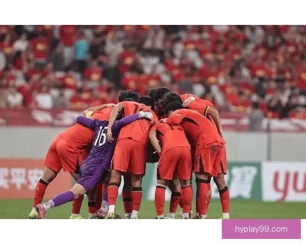 中国足球冲击世界杯之路：从草根到梦想，拼搏与希望的真实故事